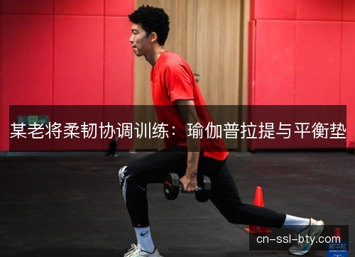 某老将柔韧协调训练：瑜伽普拉提与平衡垫